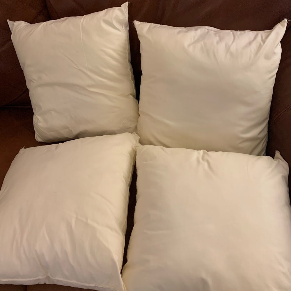 Set of 4 throw pillow forms.